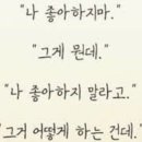 낭만애견 이미지