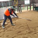 단촌초등학교 병설유치원 이미지