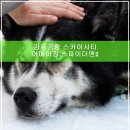 스카이시티정육점 | 김포공항 스카이시티 어메이징 스파이더맨 2