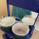 캣플 | 아이들과 함께 다녀온 고양이카페 ‘캣플’ 후기, 고양이 매력에 푹 빠진 하루