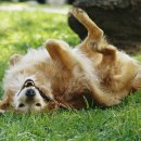 24시 신도림S동물의료센터 이미지