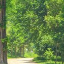 논산시립노인전문병원 이미지