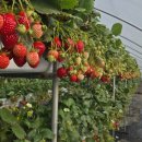 원금농장 | 연휴를 보내고 느낀 몇가지 생각들