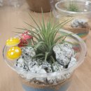 신원양지마을 이미지