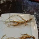 서준농산