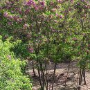 쉬자파크 이미지