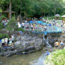 백야리산림욕장 이미지