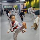 승리 태권도 이미지