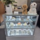 아라댕댕 이미지