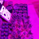 일영농장 이미지