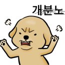 가을애견미용실 네이버블로그