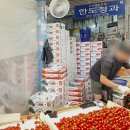 한진상사 | 청량리청과물시장 후기 | 다녀온 가게 총정리(위치, 가격, 맛, 주차) 🍑한진상회(딱복) 한도청과(방울...