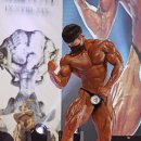 스밀로짐 이미지