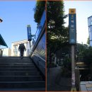 ..........♣성균관의 대성전 노란 은행나무 단풍은 아직이더이다 이미지