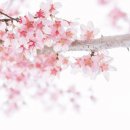 왕인박사유적지 주차장 이미지