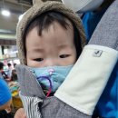 공주이모부