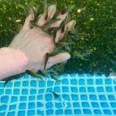 삼문중앙로6길 이미지