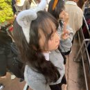 동산여자 | 20대 마지막 놀이동산 다녀옴 &#34;경주월드&#34; 후기 (파에톤,,드라켄,,)