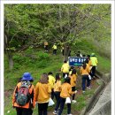 공주교육대학교부설초등학교 이미지