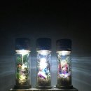 석전동255 이미지