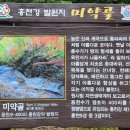 생곡리 미약골 이미지