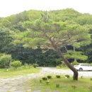 산사랑 글램핑 | 원주 [산사랑 펜션] : 자연 속 가성비 좋은 숙소. 계곡 바로 옆!