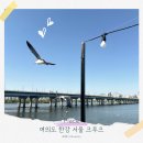 여의도 아이랑 서울 한강 크루즈 한강 유람선 탑승 솔직 후기