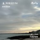 [제주] 혼자 다녀온 2박 3일 뚜벅이 여행 코스 추천 (feat.크로스핏 드랍인)