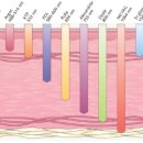톡바른경희한의원 이미지