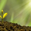 스피드인터넷 이미지