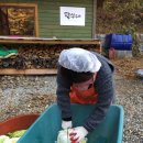 당카 | 2017 김장체험 후기