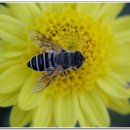 복룡동 시민문화공원 이미지