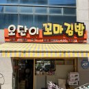 오단이꼬마김밥 | 김천 전현무계획 3 오단이 꼬마김밥 맛집 정보