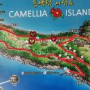 거제지심도 이미지