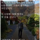 써브 행정사사무소 이미지