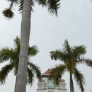 (주)시원지웨이 | [중국/샤먼] 2박3일 샤먼(하문)여행 샤먼대학교 남보타샤 중산로 구랑위 mz핫플 샤포웨이 방문후기