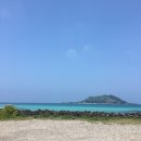 알로하제주 이미지