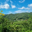 죽청농장 이미지