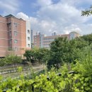 주식회사바로부동산중개사무소 이미지