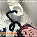 용산화장실 이미지