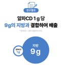뉴트리턴 알파CD 라인핏, 체지방 관리 성분이 다른 이유!