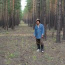 숲속의요정 이미지