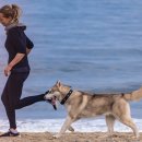 강아지와 나 이미지