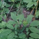 유정농장(2) 이미지