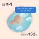 스튜디오 사모코 | 임신중기 21주 22주 23주 24주 임당검사 배크기 임산부 일상기록