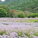 문희농장 이미지