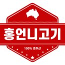 힐스톤애견풀빌라 이미지