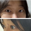 참숯돈뱅크 | 뷰러한듯이 자연스러운 속눈썹펌 금련산역 [르무드] 베이직펌 후기