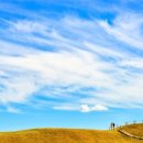 지에스25 평택오성점 이미지