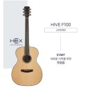 F100 | [입문용 통기타 추천 후기] 헥스(HEX) HIVE F100 : 입문용 기타, 어쿠스틱 기타, 통기타, 가성비 기타